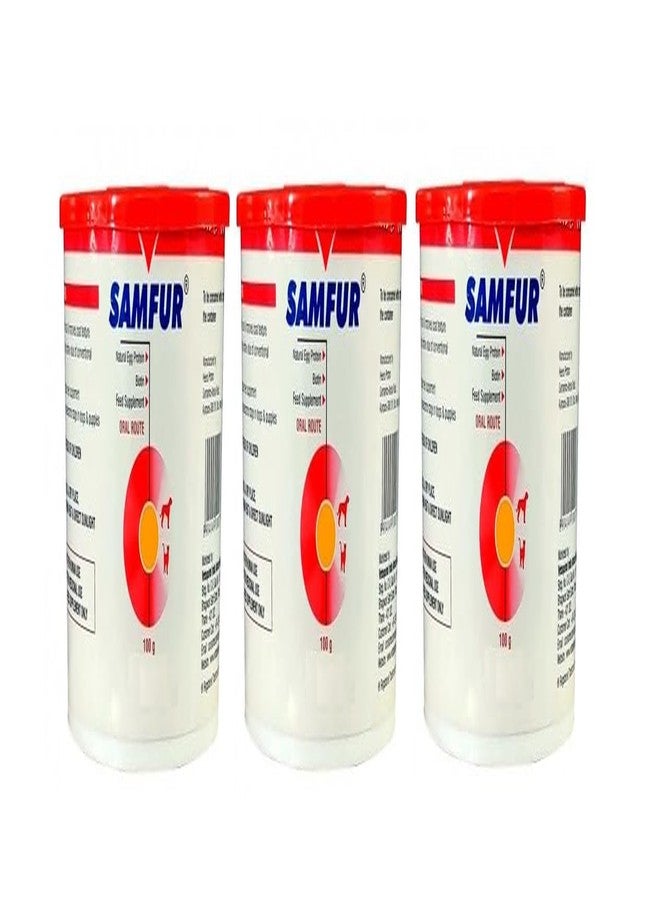 BULLYPET Samfur 100g (Protein Powder) (Pack of 3)